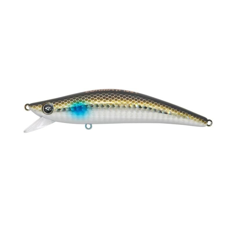 Hanfish Lokman 105F 10.5cm 15gr Maket Balık LL424 Bora