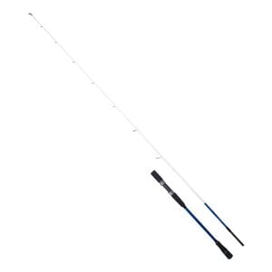 Ryuji Big Game Fuji SP 203cm 60-140gr 2 Parça Jig ve Tekne Olta Kamışı