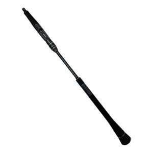 Daiwa Legalis O BF 190cm 20-80gr 1+1 Slow Jig ve Tekne Olta Kamışı