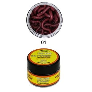 River Long Worm 10cm Kokulu Silikon Solucan Yem 12 Adet Renk 01