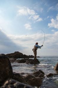 Savage Gear SGS5 274cm 9-35gr Precision Lure Specialist Spin Olta Kamışı