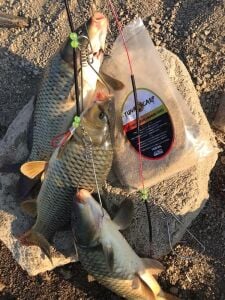 Tuna Carp Big Mix Sazan Hamur Tozu 1000 gr