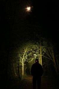 Fox Halo Headtorch AL320 Kafa Lambası