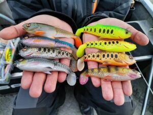 Savage Gear Craft Cannibal Paddletail 12.5 cm 20 gr Suni Yem