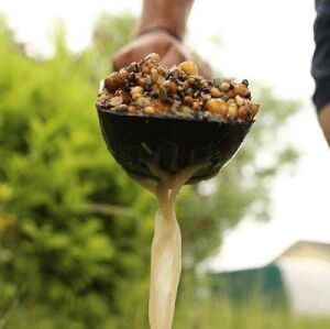 Fox Particle Baiting Spoon Yemleme Küreği