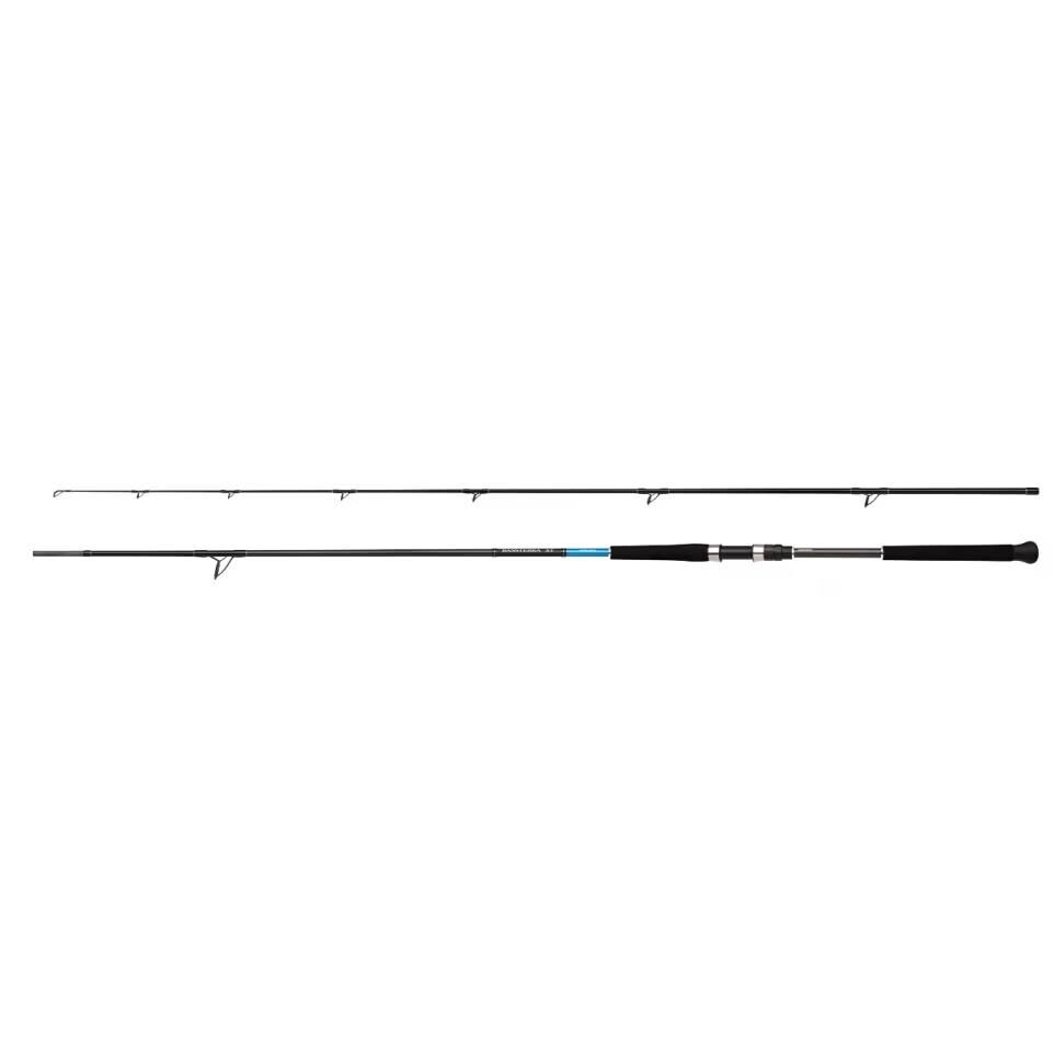 Shimano Bassterra XT Shore Jigging 305cm 30-100gr 2 Parça Shore Jig Olta Kamışı