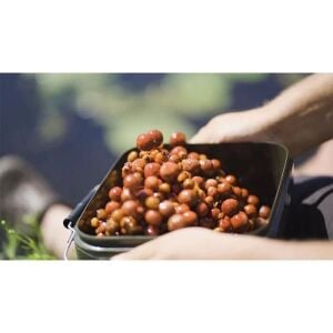 Spro Grade 17 Litre Yem Kovası