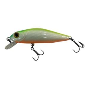 Usami Minn Shad 58F 5.8cm 4.6gr 50cm Dalar Maket Balık Renk 703