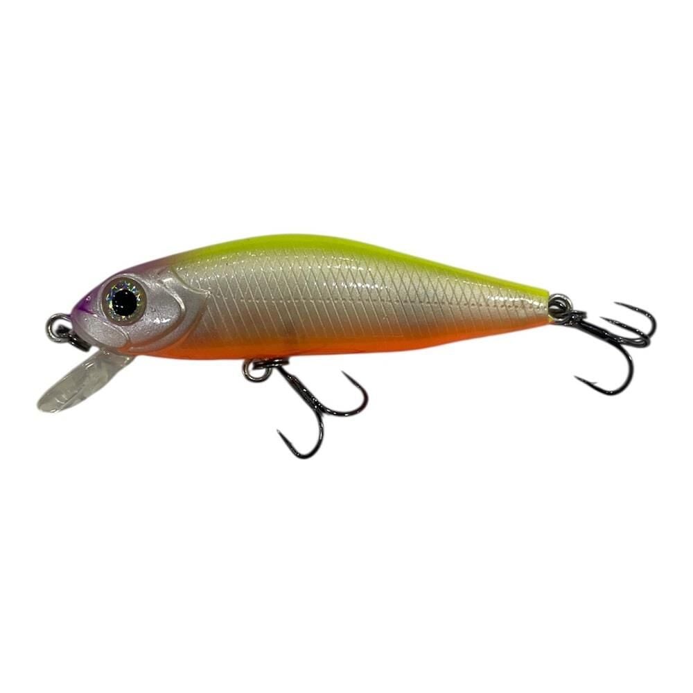 Usami Minn Shad 58F 5.8cm 4.6gr 50cm Dalar Maket Balık Renk 304HP