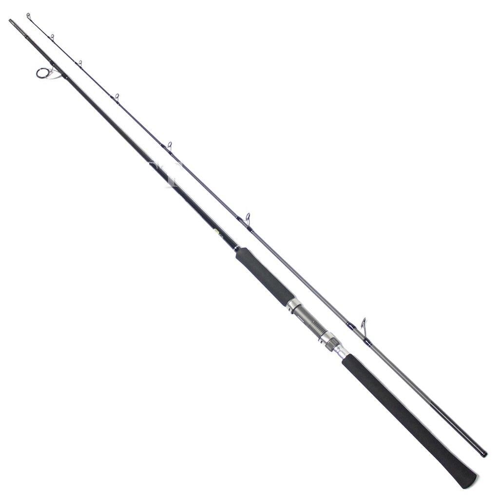 Shimano Salty Advance Spinning 305cm 60-80gr Shore Jig Kamışı