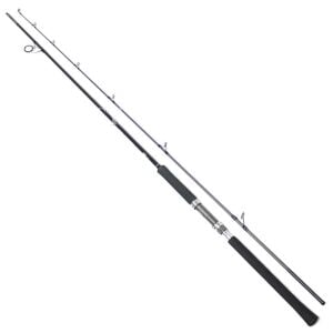 Shimano Salty Advance Spinning 305cm 60-80gr Shore Jig Kamışı