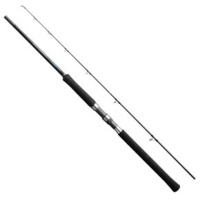 Shimano Salty Advance Spinning 305cm 60-80gr Shore Jig Kamışı