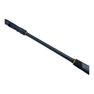 Daiwa RX Lure Game BF 244cm 10-35gr 2 Parça Spin Olta Kamışı