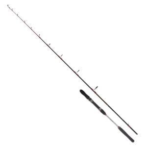 Ryuji Searider 180cm 60-180gr 2P Bot ve Jig Kamışı