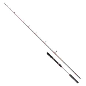 Ryuji Searider 180cm 60-180gr 2P Bot ve Jig Kamışı
