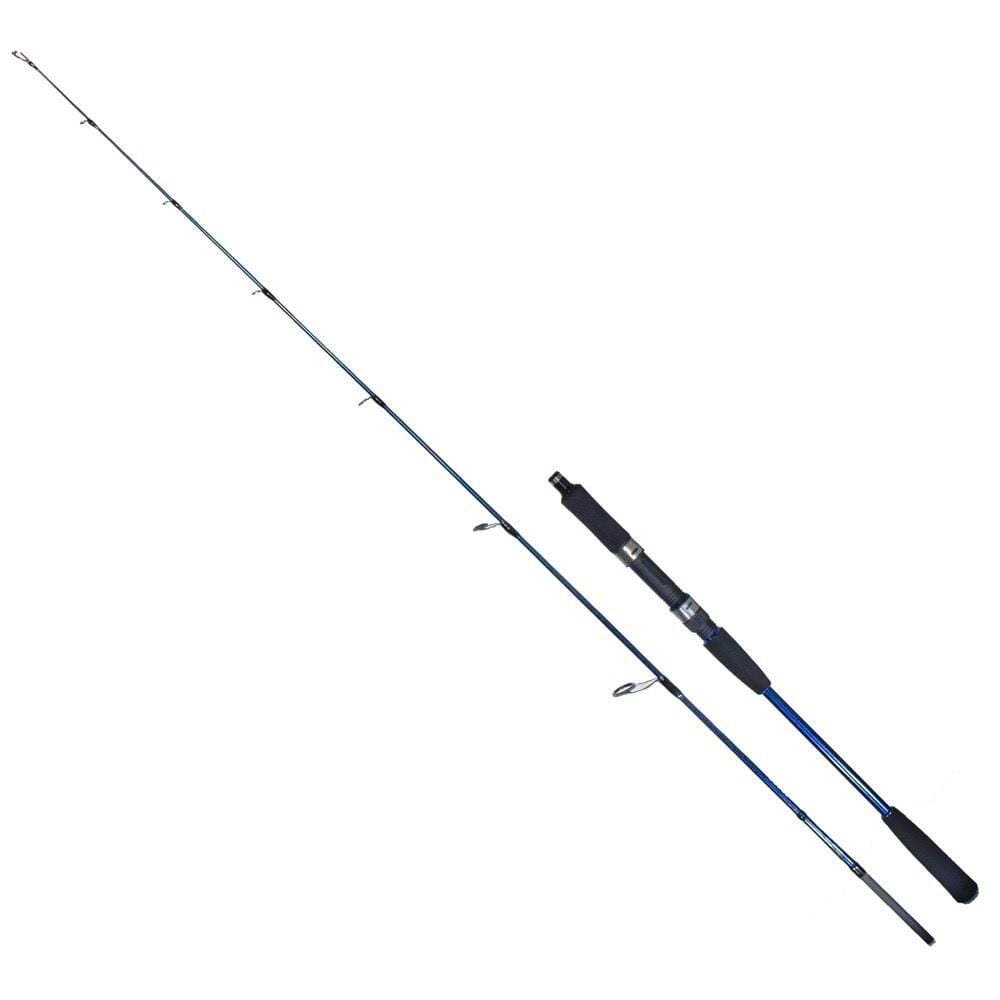 Ryuji Strobe II 168cm 40-110gr 2P Bot Olta Kamışı