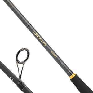 Daiwa Legalis Seabass 2026 BF 244cm 7-28gr 2 Parça Spin Olta Kamışı