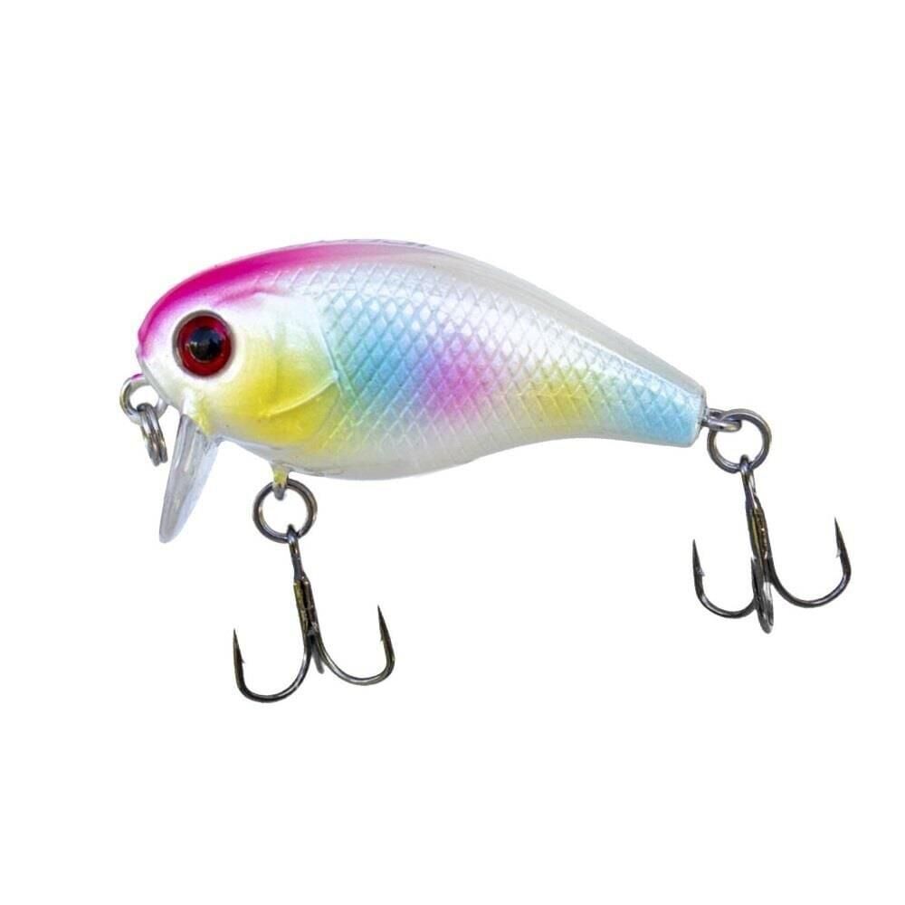 Ryuji Chubby Floating 3.8cm 4.2gr Maket Yem Rainbow