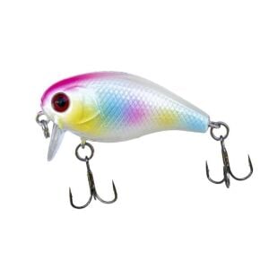 Ryuji Chubby Floating 3.8cm 4.2gr Maket Yem Rainbow