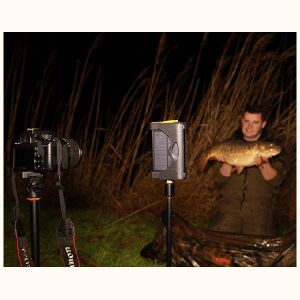 Fox Halo Power Multi Light