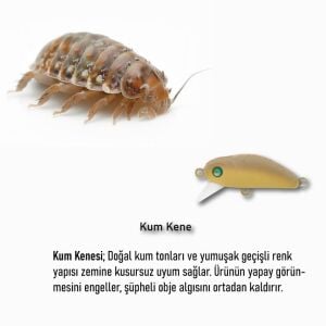 Hanfish Bıdık 35mm 3.1gr Maket Balık X130 Kum Kene